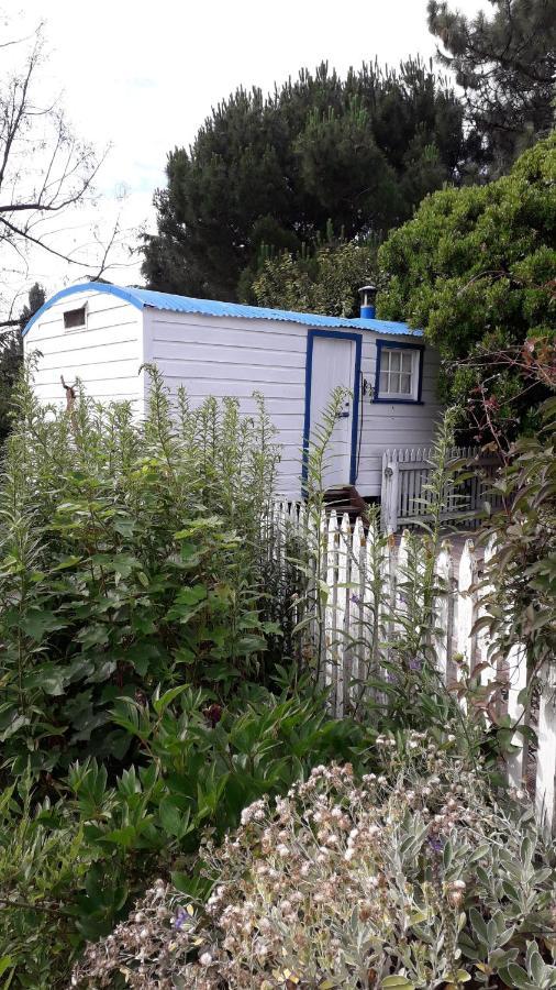 Western House B&B Kurow Exterior foto
